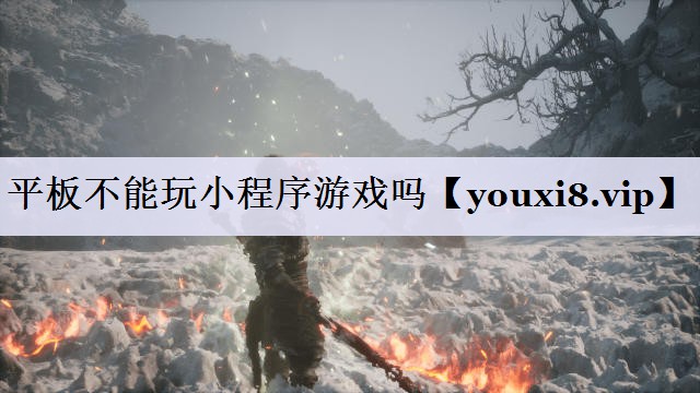平板不能玩小程序游戏吗
