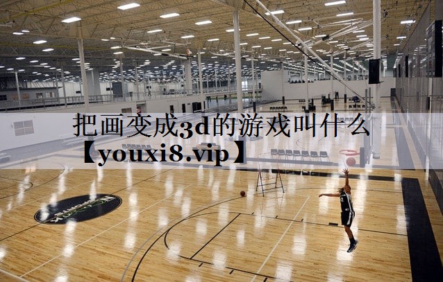把画变成3d的游戏叫什么