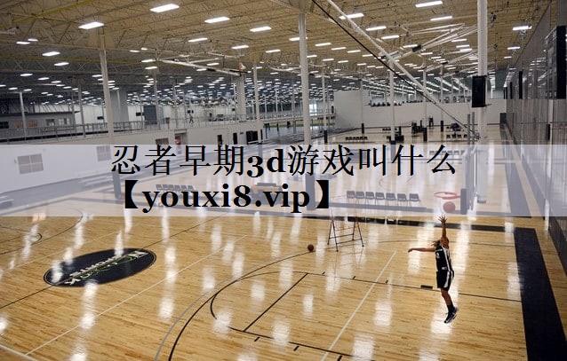 忍者早期3d游戏叫什么