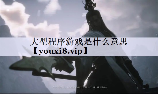 大型程序游戏是什么意思
