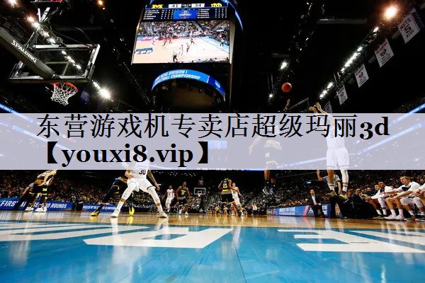 东营游戏机专卖店超级玛丽3d