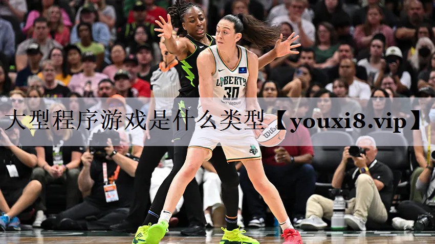 大型程序游戏是什么类型