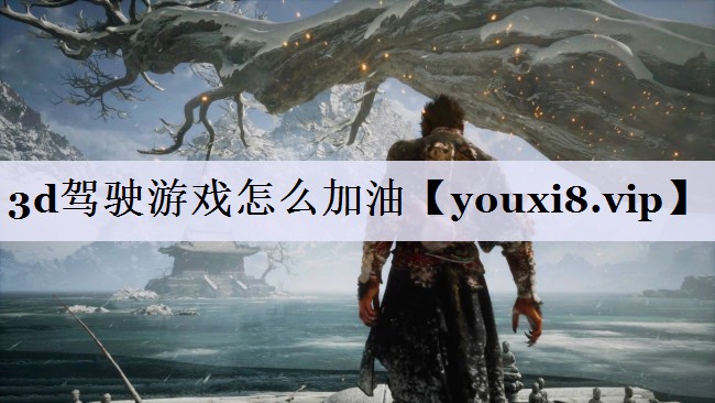 3d驾驶游戏怎么加油