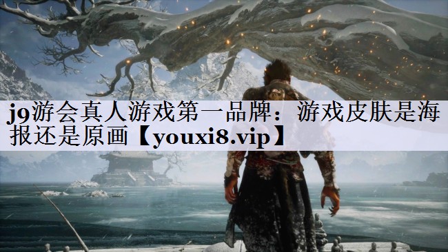 j9游会真人游戏第一品牌：游戏皮肤是海报还是原画