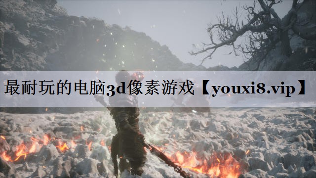 最耐玩的电脑3d像素游戏