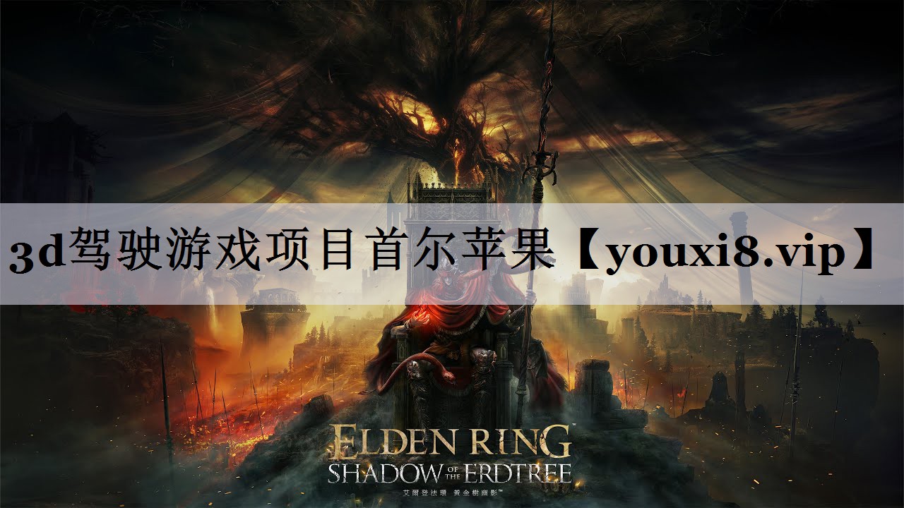 3d驾驶游戏项目首尔苹果