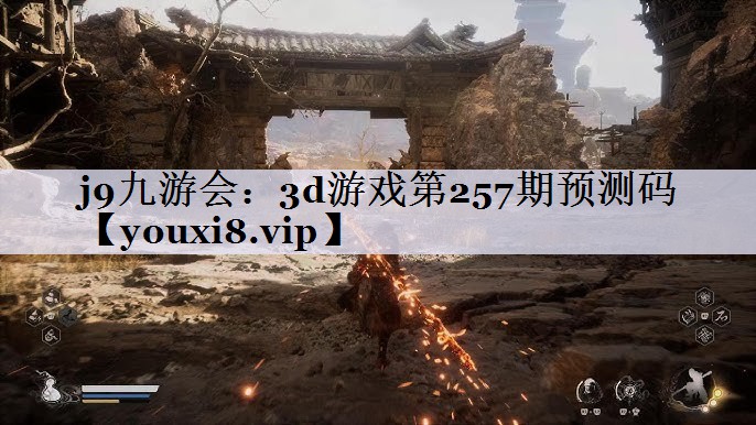 3d游戏第257期预测码
