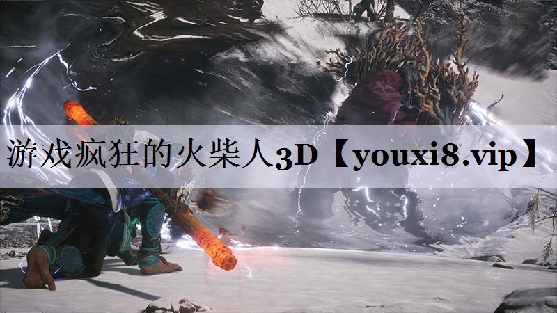 游戏疯狂的火柴人3D