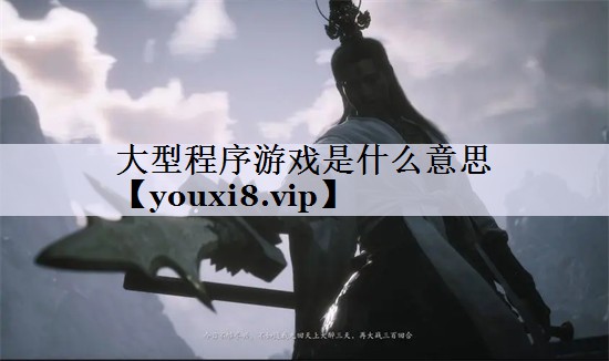 大型程序游戏是什么意思