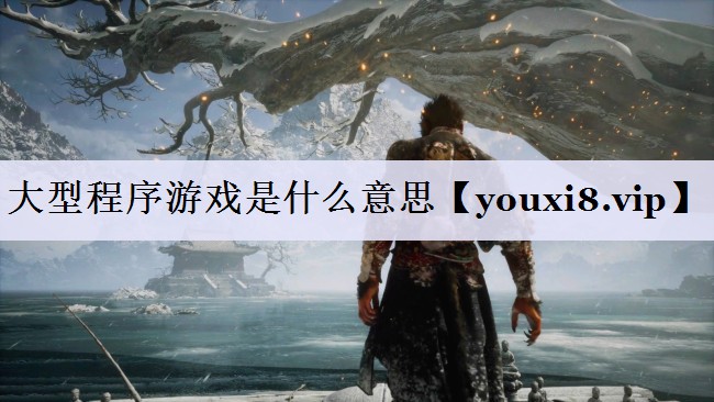 大型程序游戏是什么意思