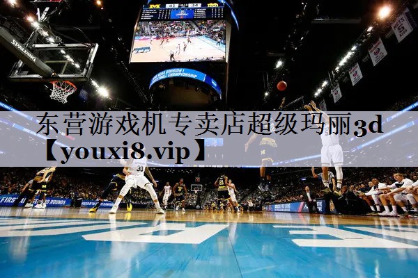 东营游戏机专卖店超级玛丽3d