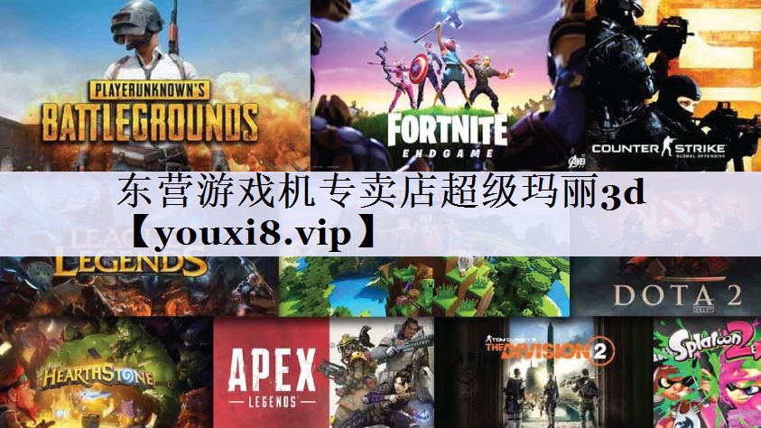 东营游戏机专卖店超级玛丽3d