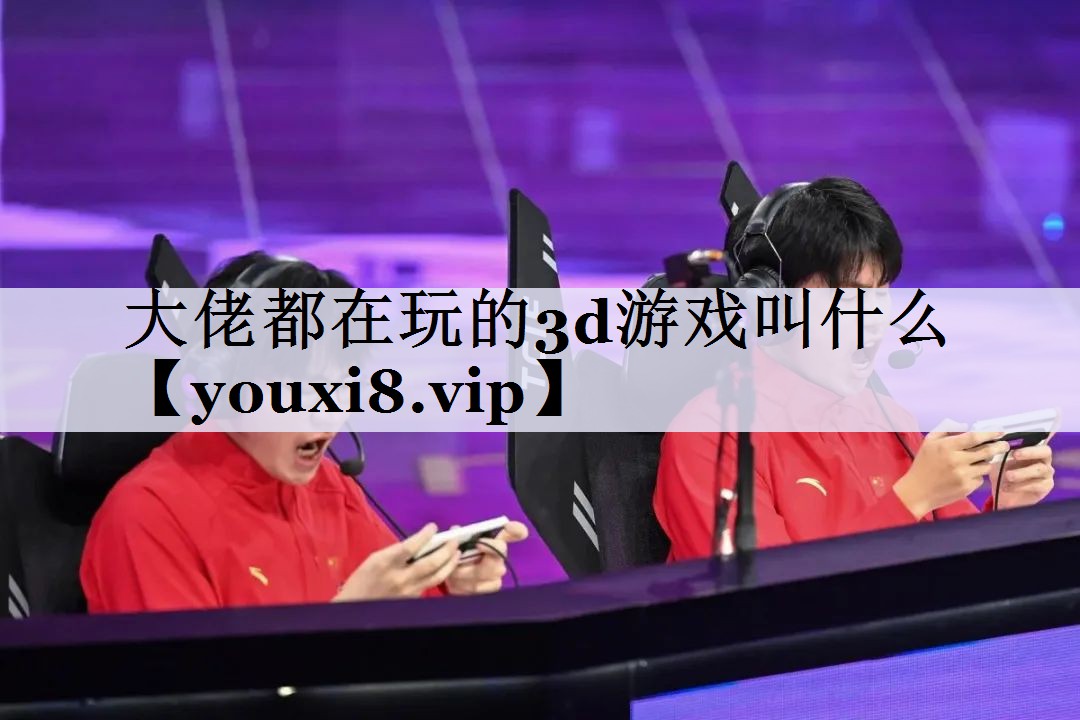 大佬都在玩的3d游戏叫什么