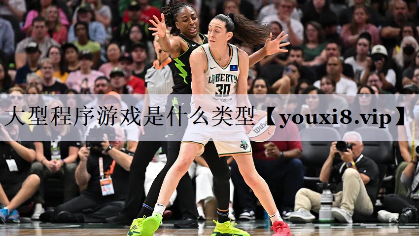 大型程序游戏是什么类型