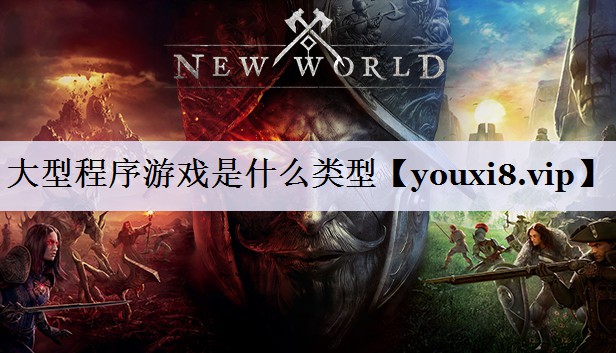 大型程序游戏是什么类型
