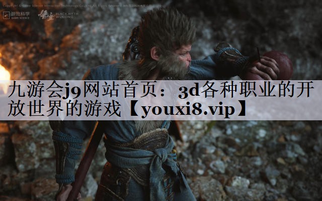 3d各种职业的开放世界的游戏
