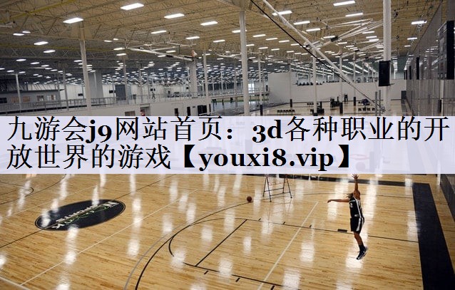 3d各种职业的开放世界的游戏