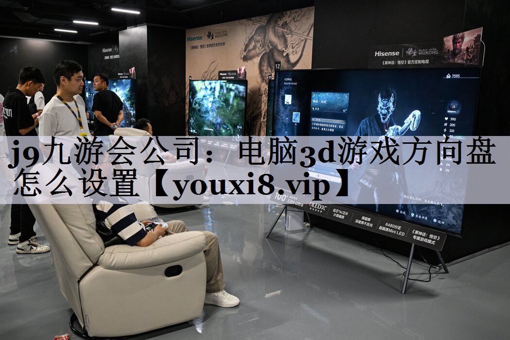 电脑3d游戏方向盘怎么设置