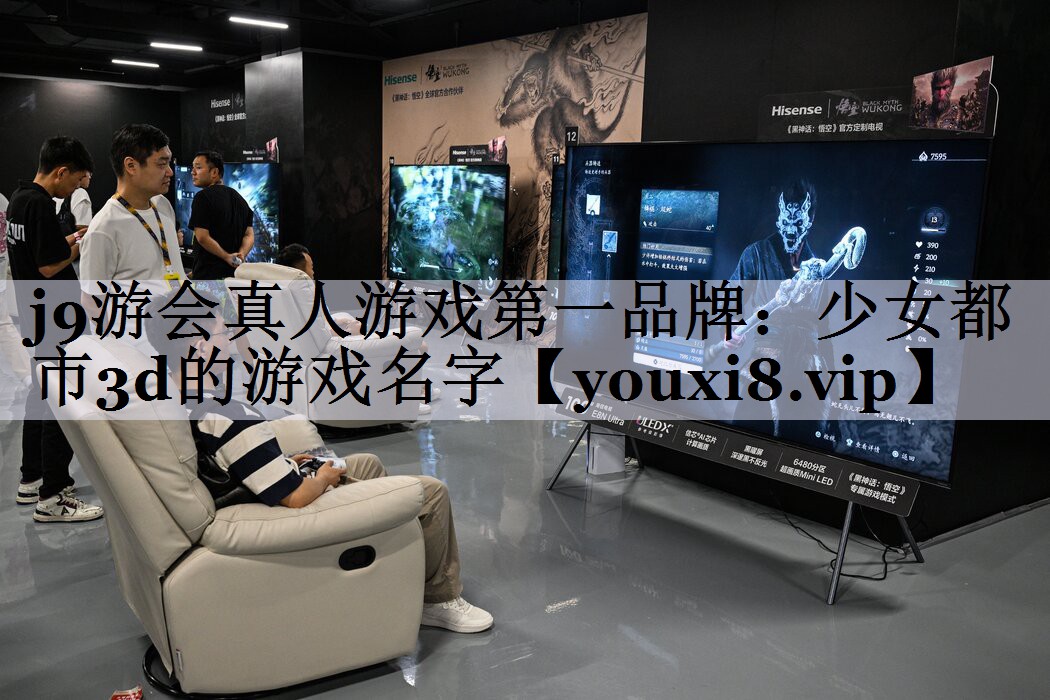 少女都市3d的游戏名字