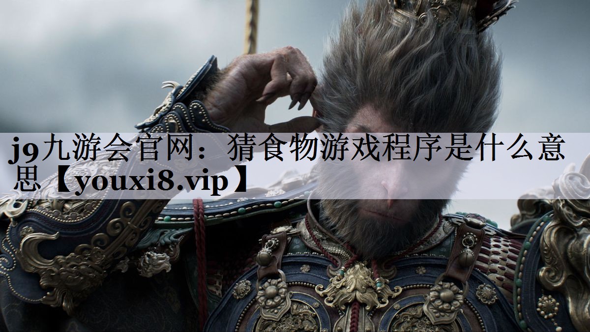 猜食物游戏程序是什么意思